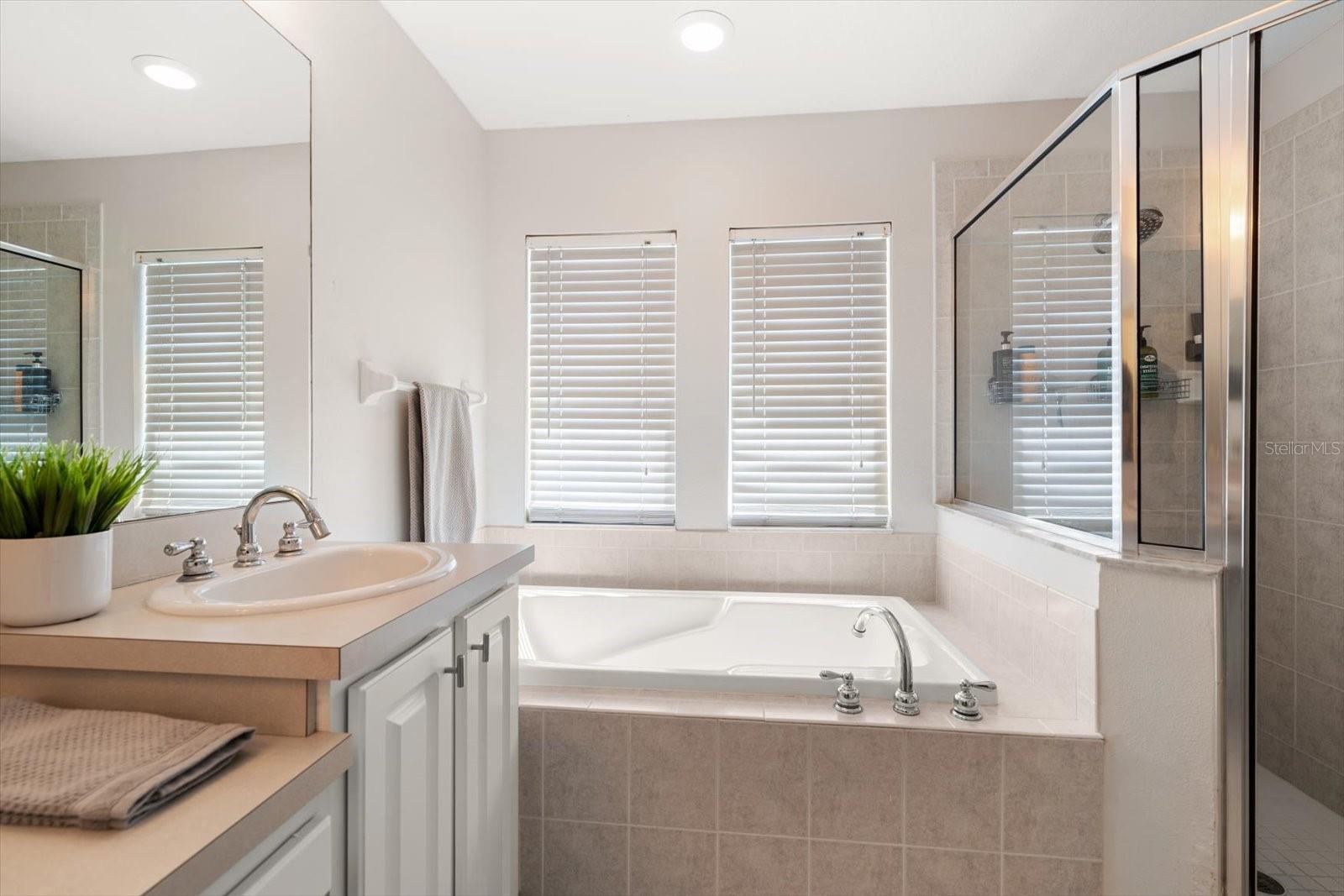 Primary en suite bathroom with dual sinks, vanity, separate shower, water closet and garden tub