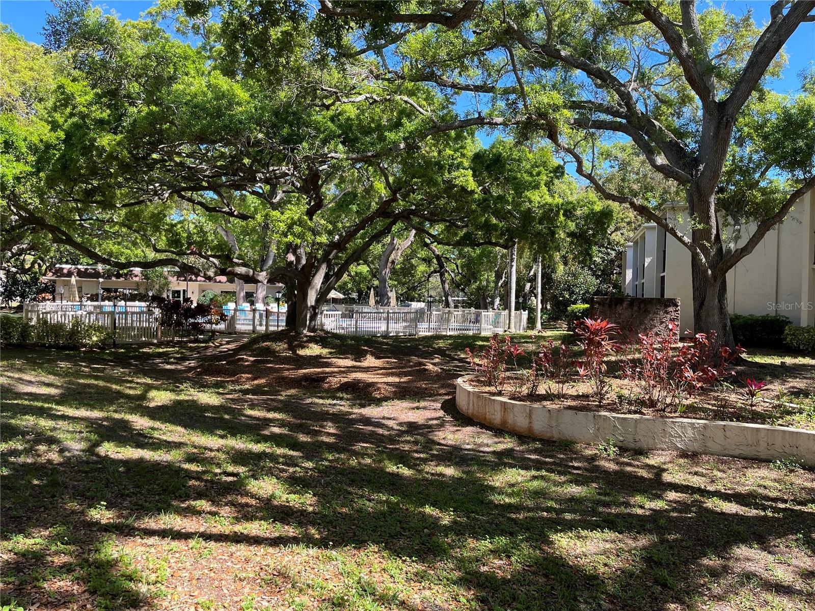 Pool View from Condo