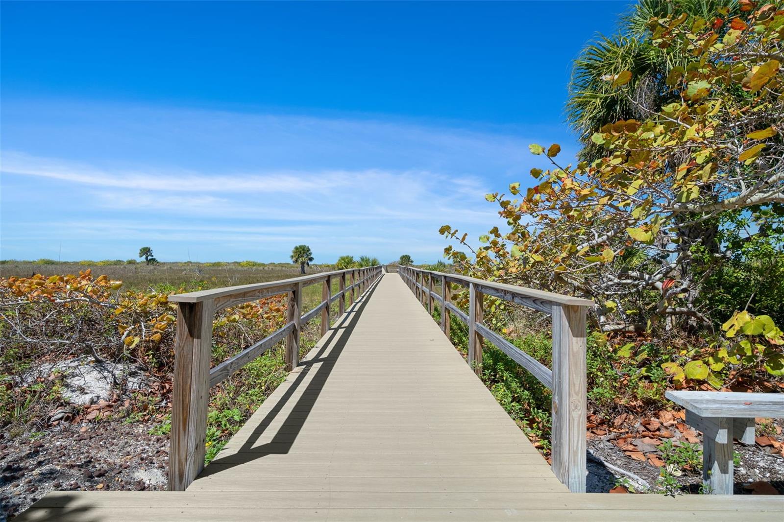 Get your step counts in on the way to the beach!