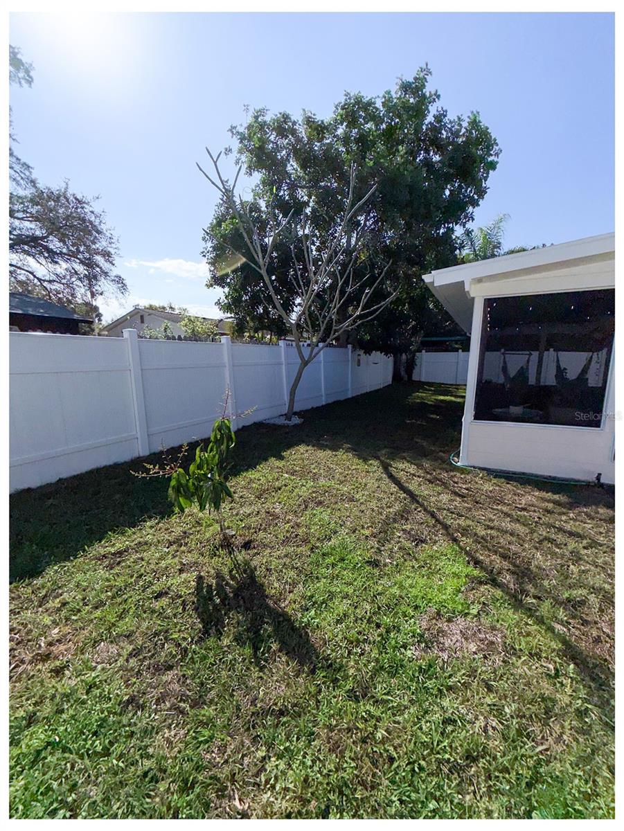 South side of the backyard with plenty of space to play! or even put in a pool!