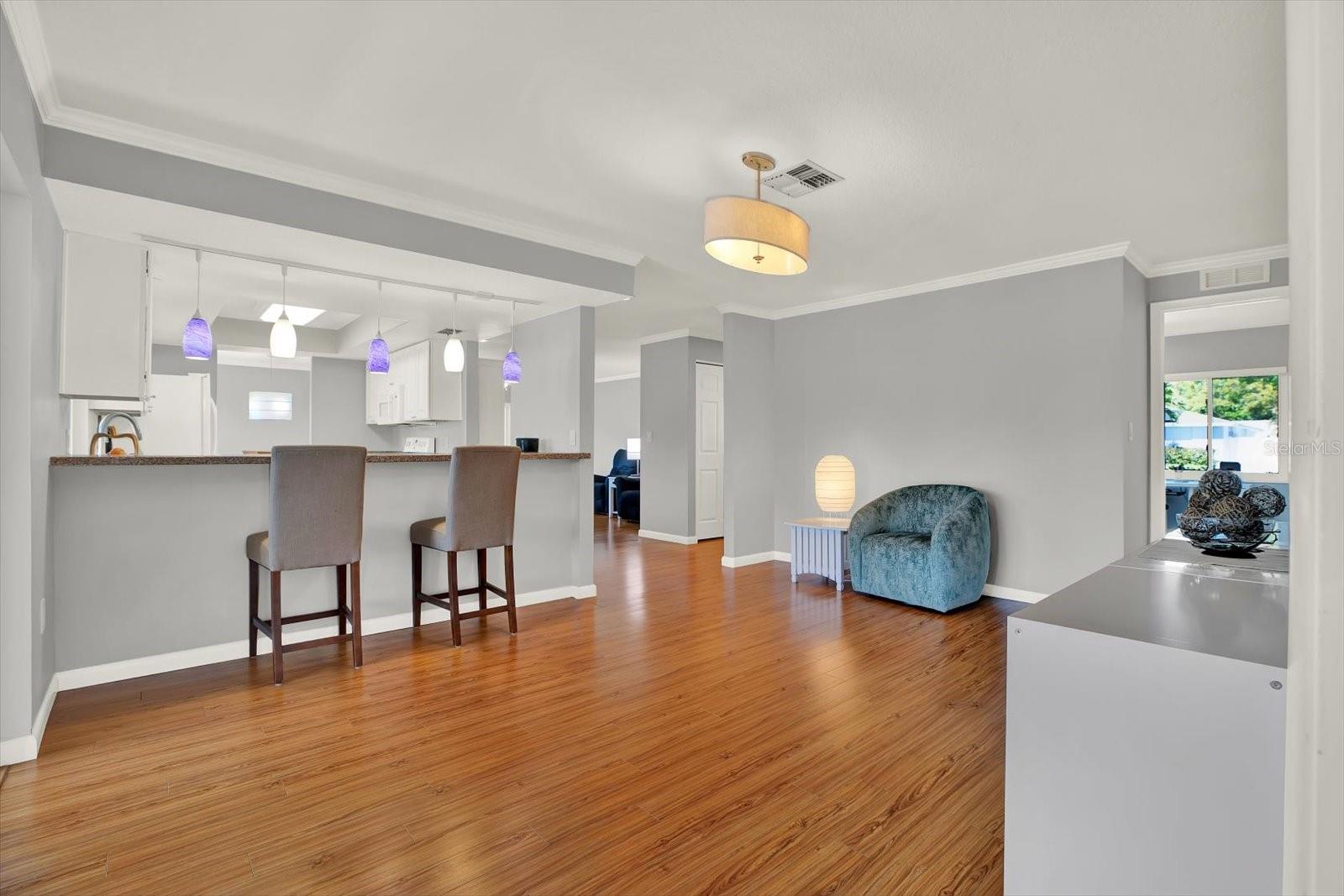 Living Room and Kitchen