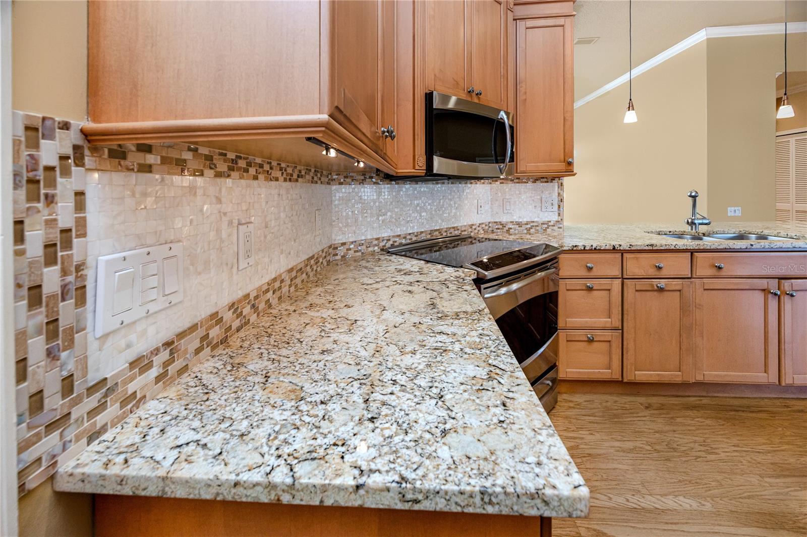 Chef's kitchen w/ granite & stainless appliances · 1471 Briargrove Way Oldsmar FL 34677