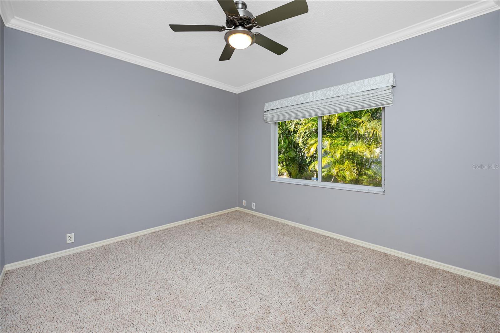 Jack & Jill bedroom, private bath access · 1471 Briargrove Way Oldsmar FL 34677
