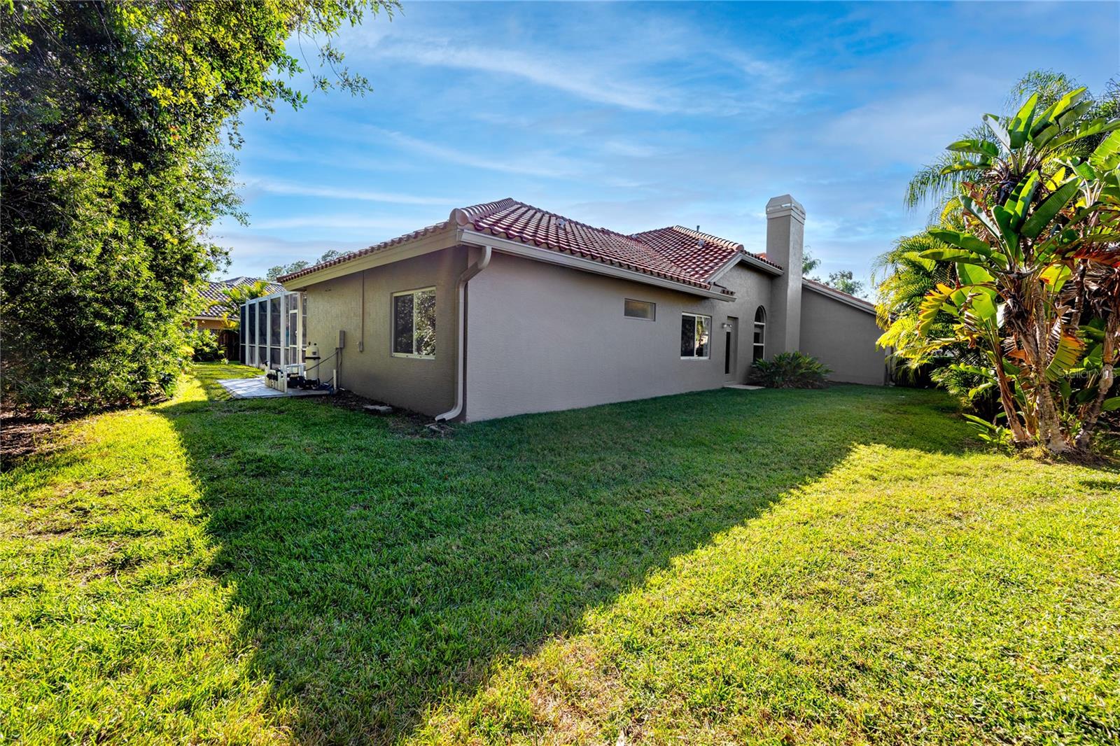 Side and Back Yard - 1471 Briargrove Way Oldsmar FL 34677
