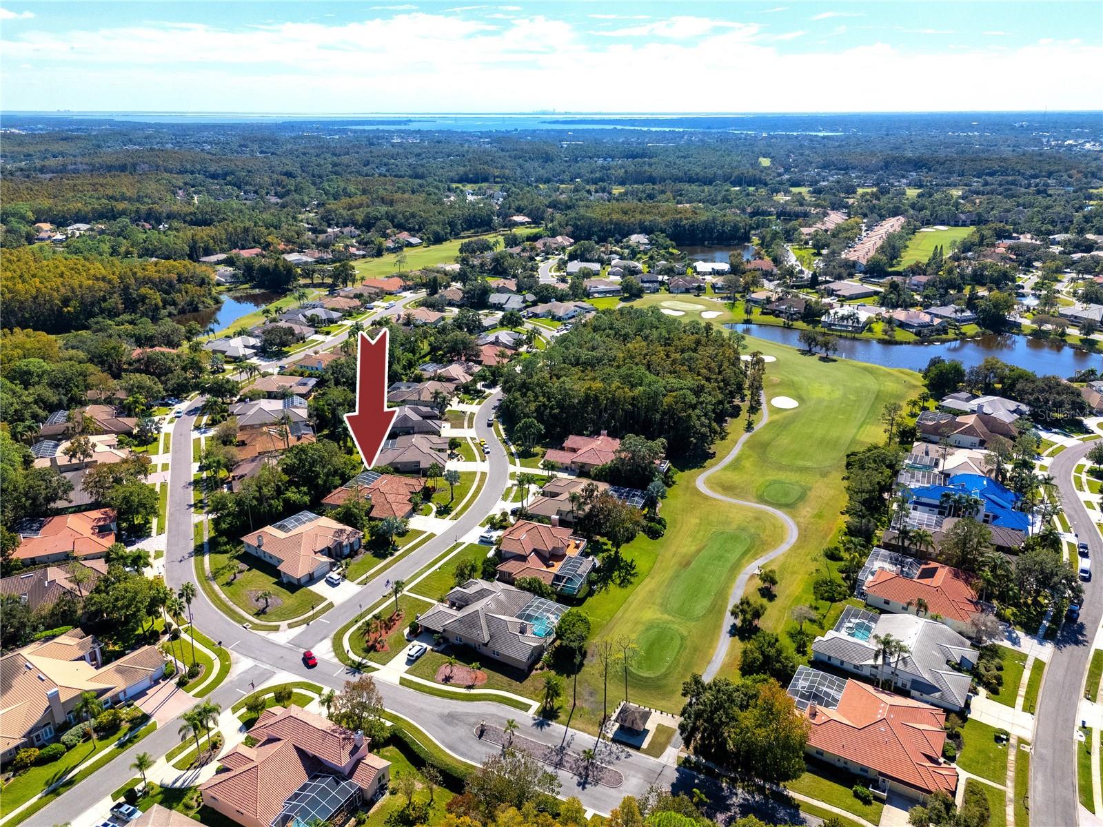 Aerial of Aberdeen, gated East Lake Woodlands · Oldsmar FL 34677