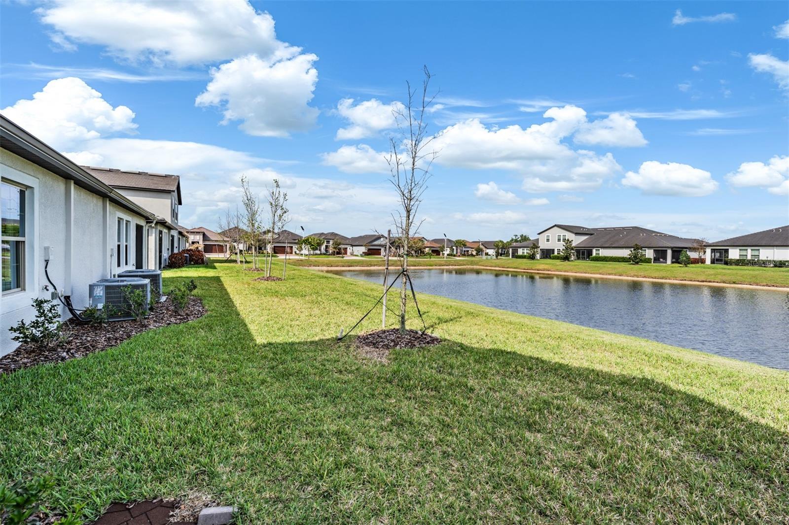 Fish from your backyard