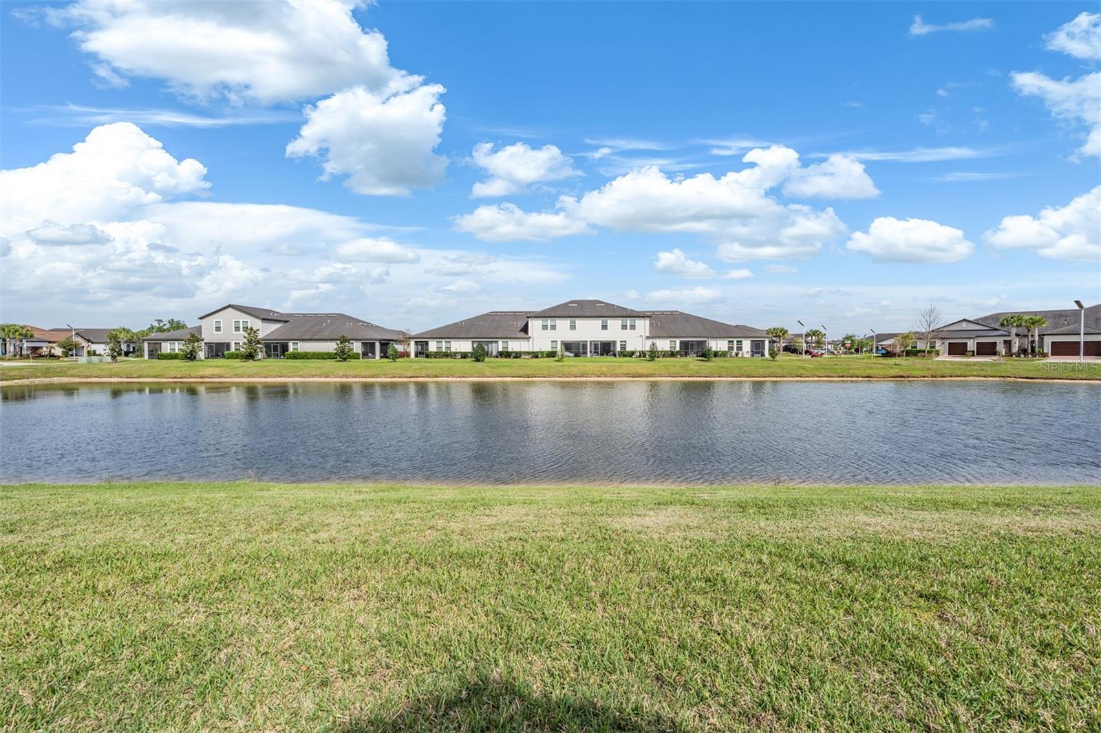 Watch ducks, fish and turtles on the pond!