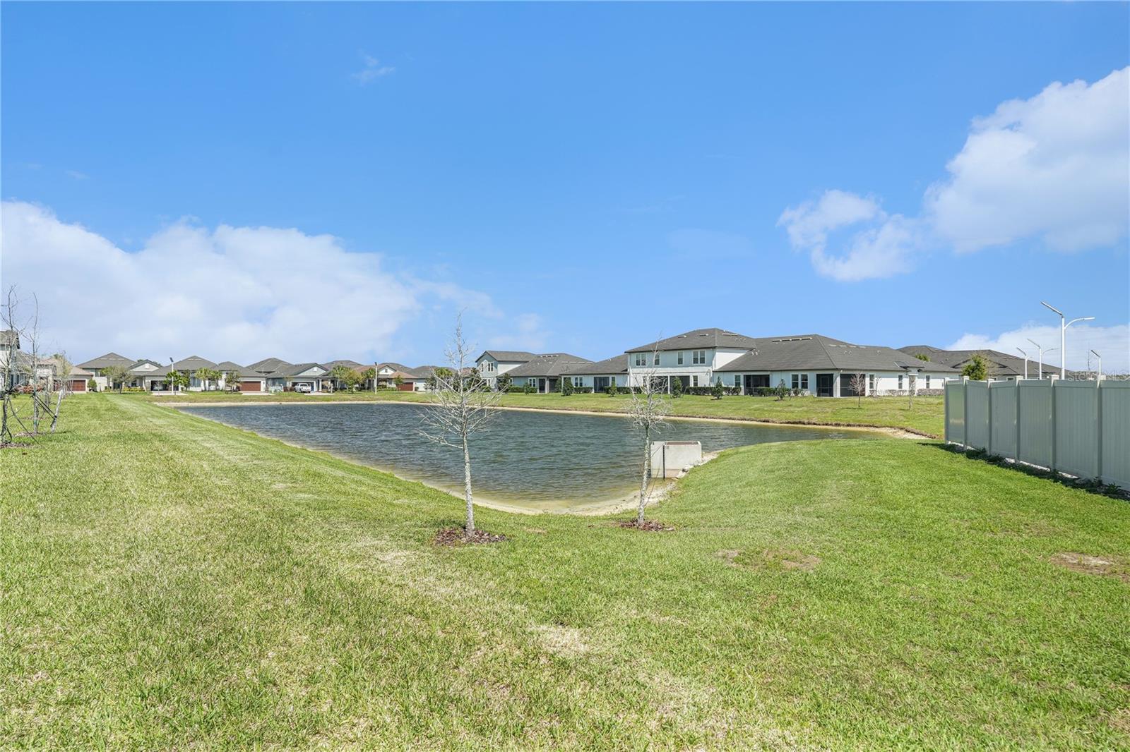 Pond in backyard, view from lanai