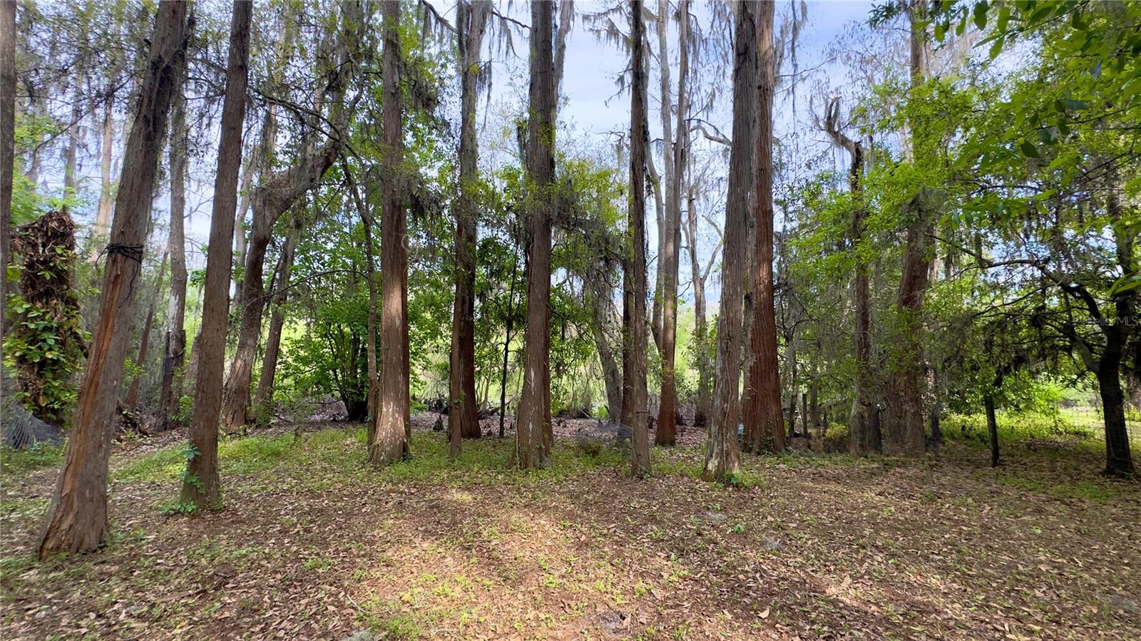 REAR YARD TO WATER VIEW