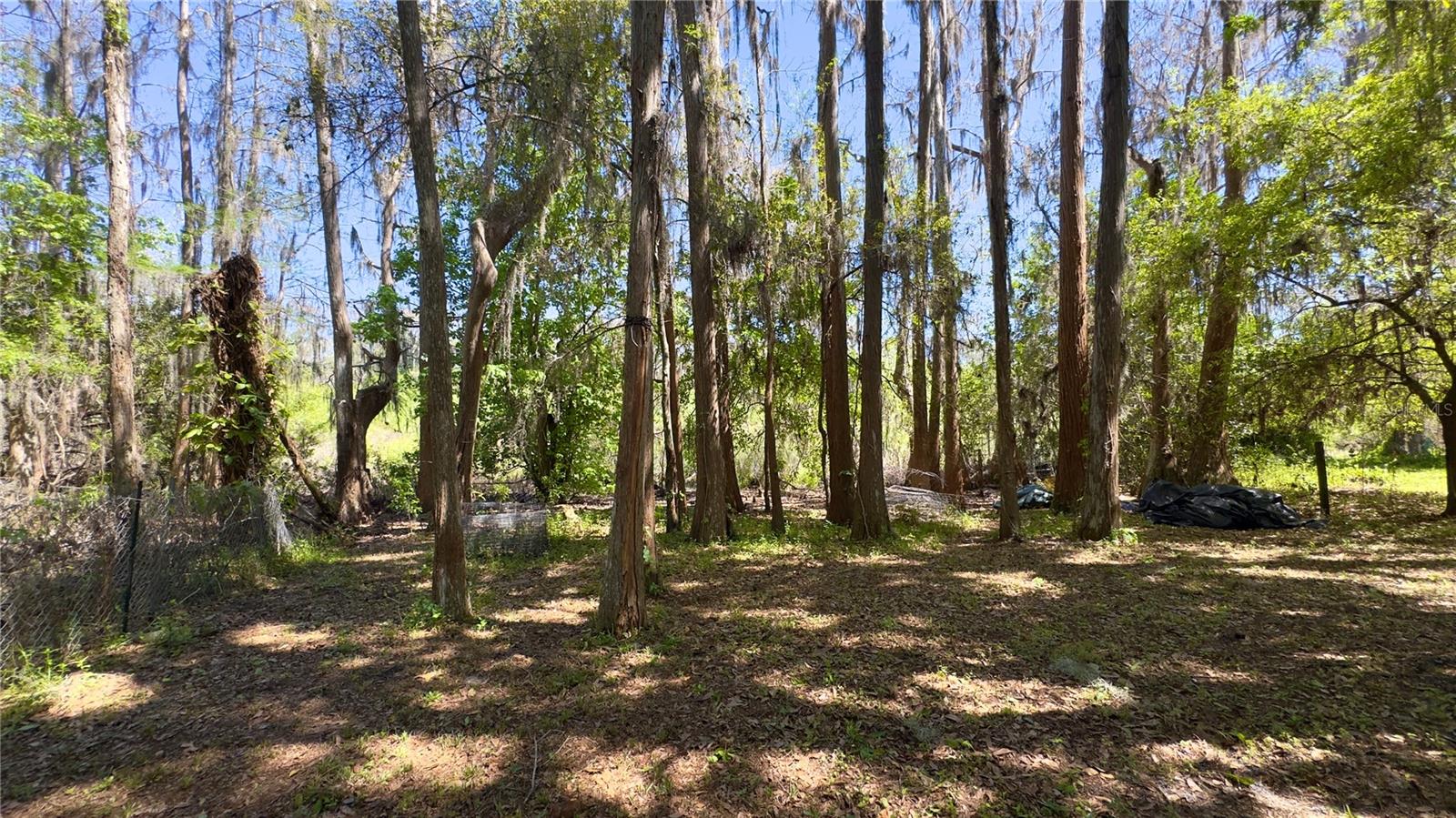 REAR YARD VIEW PROPERTY