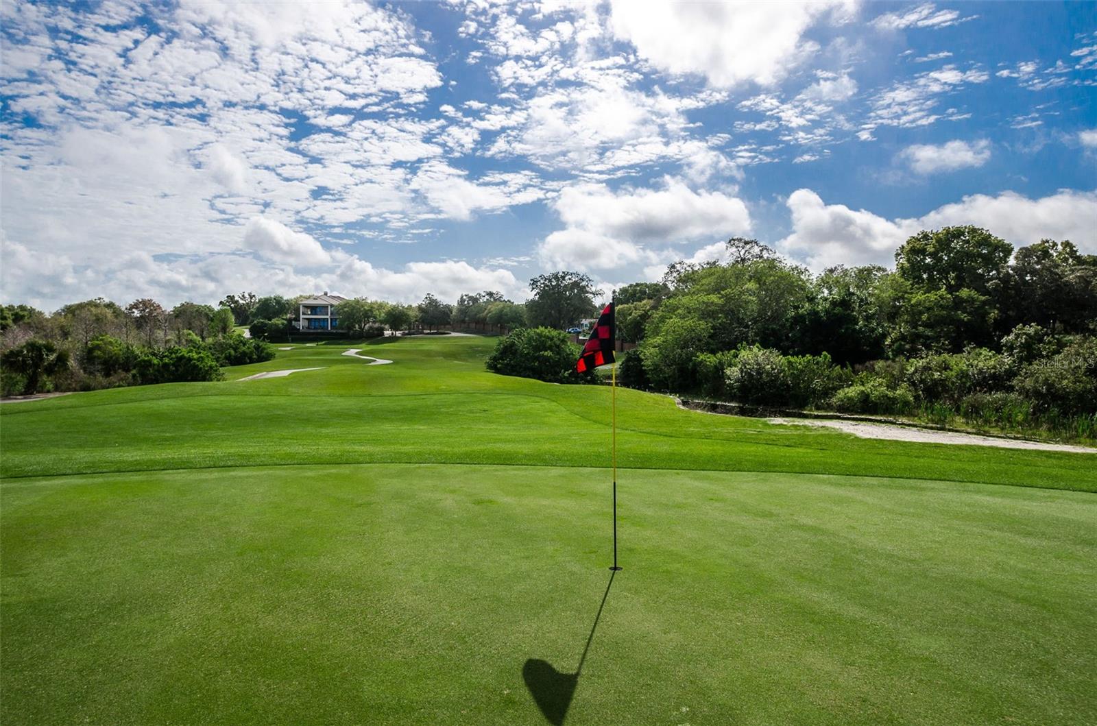 Innisbrook Golf Course