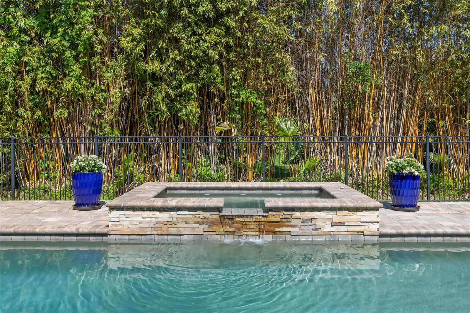 Beautiful pool and spa