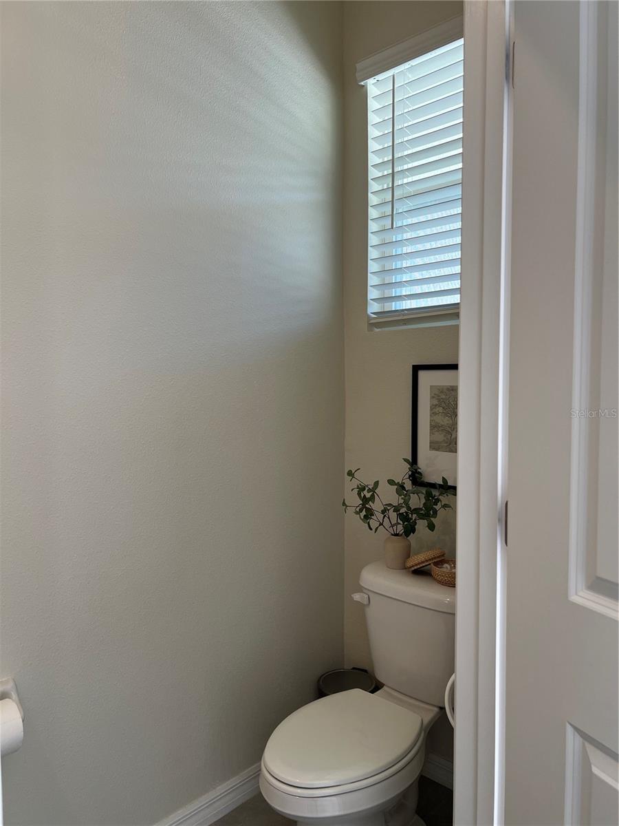 Guest Bathroom (first floor)