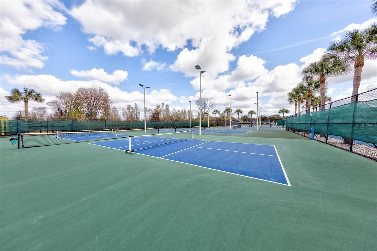 pickleball and/or tennis courts