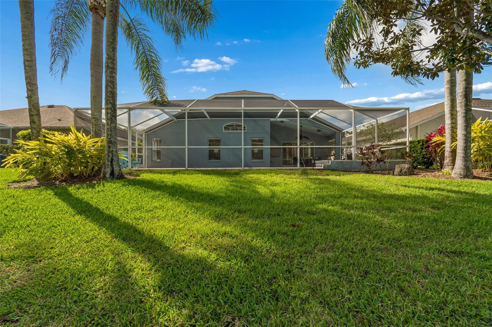 Privacy in your yard overlooking a pond