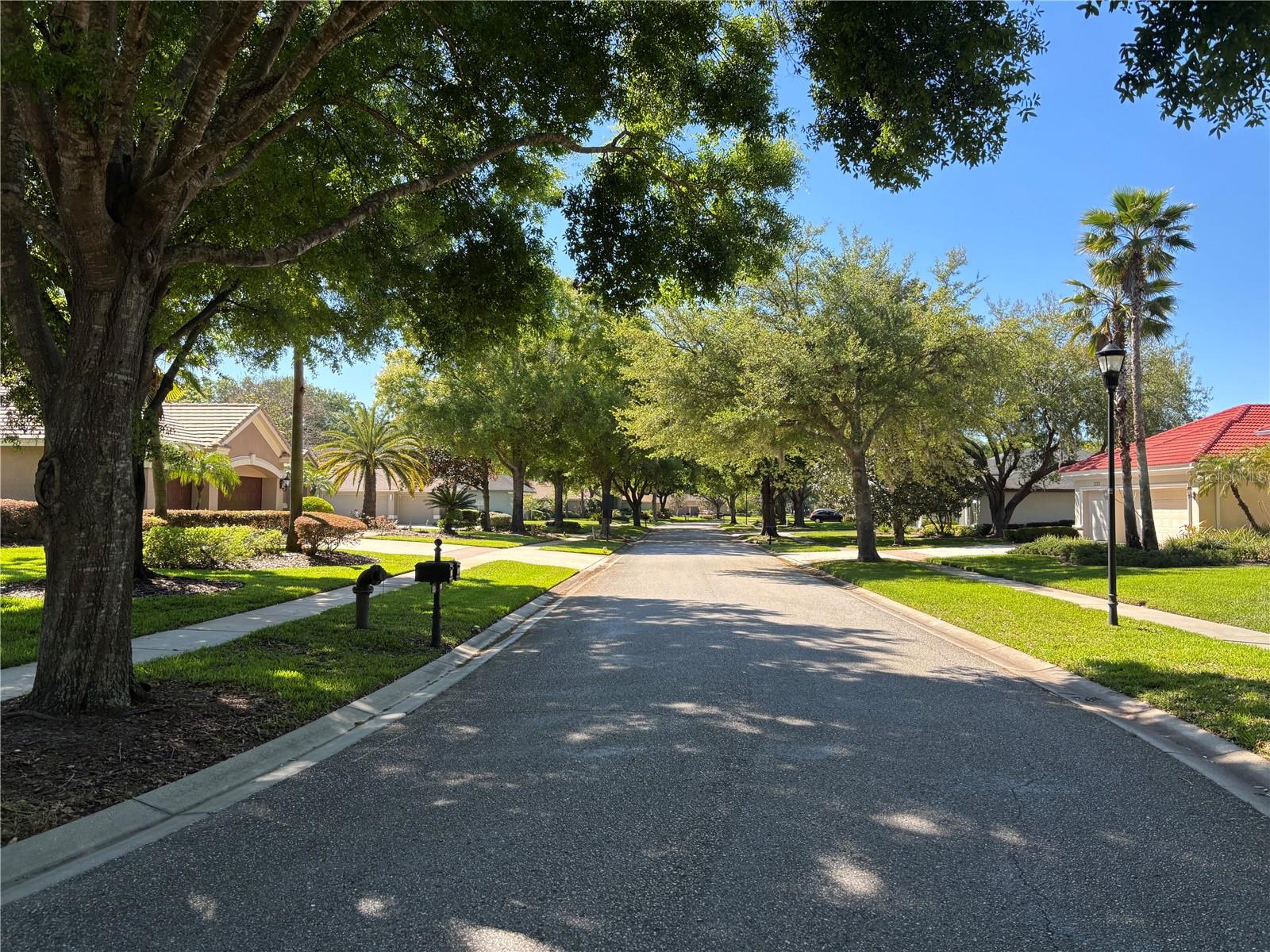 Shaded streets with sidewalks are perfect for peaceful walks or bike rides.