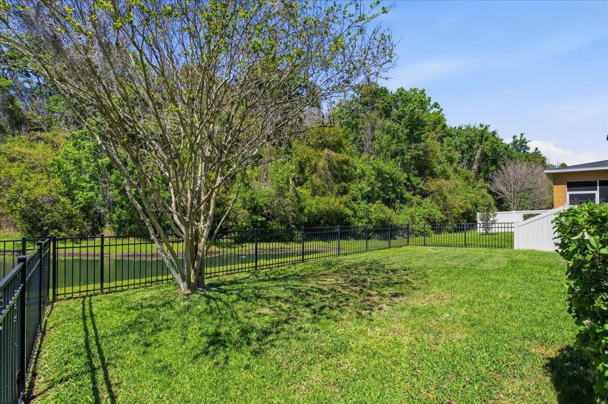 Fully fenced backyard