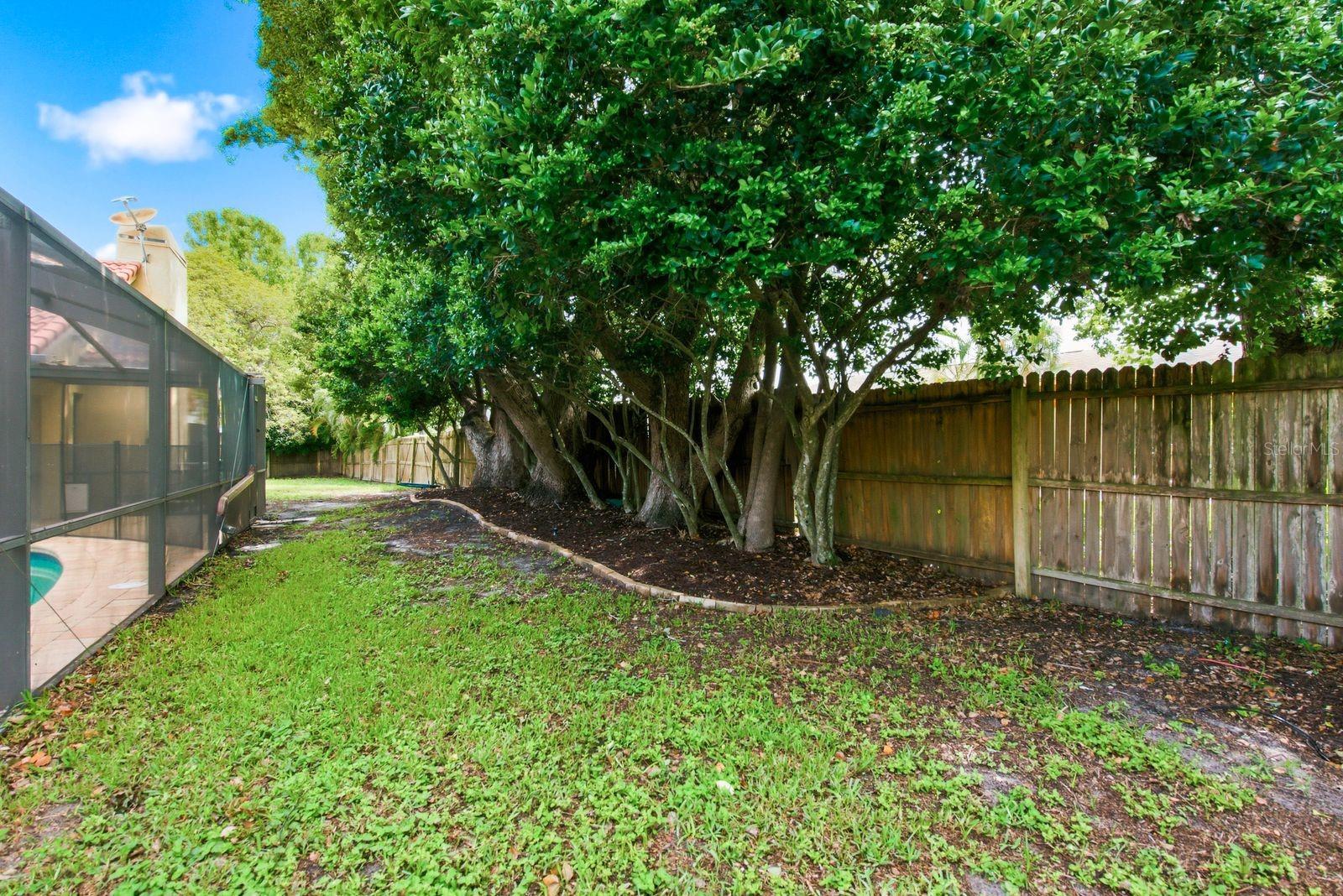Side Yard