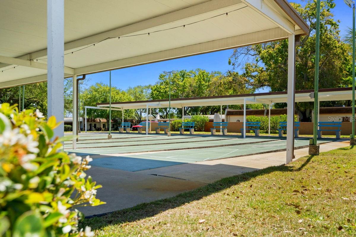 Shuffleboard Anyone?