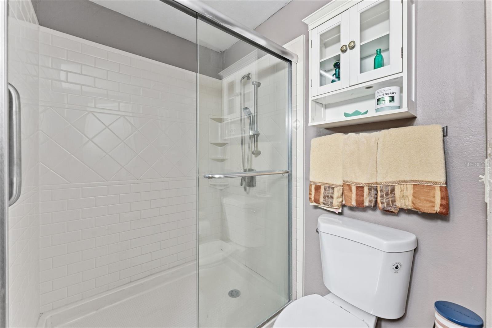 nicely appointed walk in shower with new toilet and shower doors