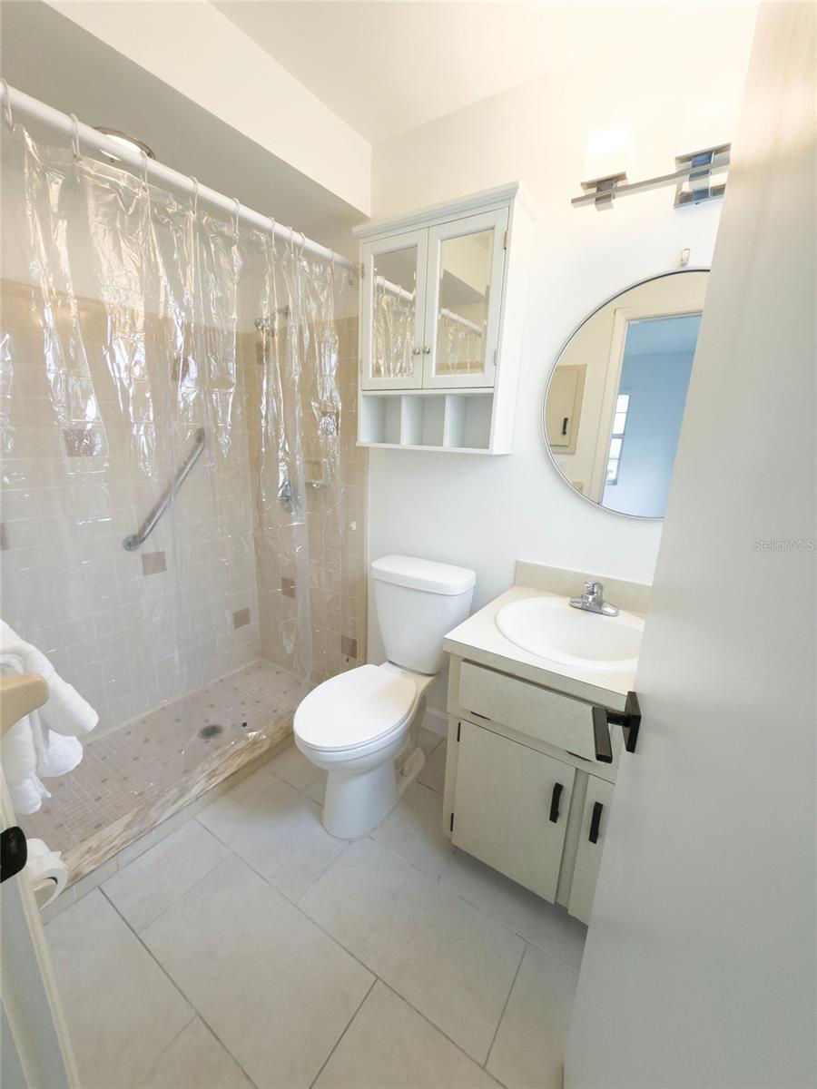 Owner's en-suite bath