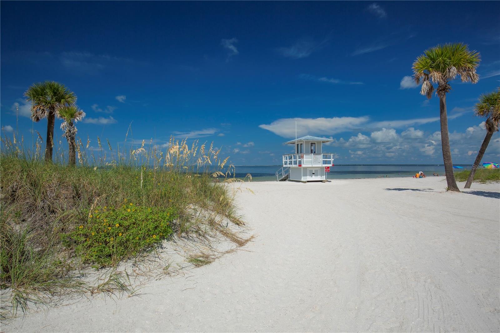Dip your toes in the sand at Nearby Howard Park