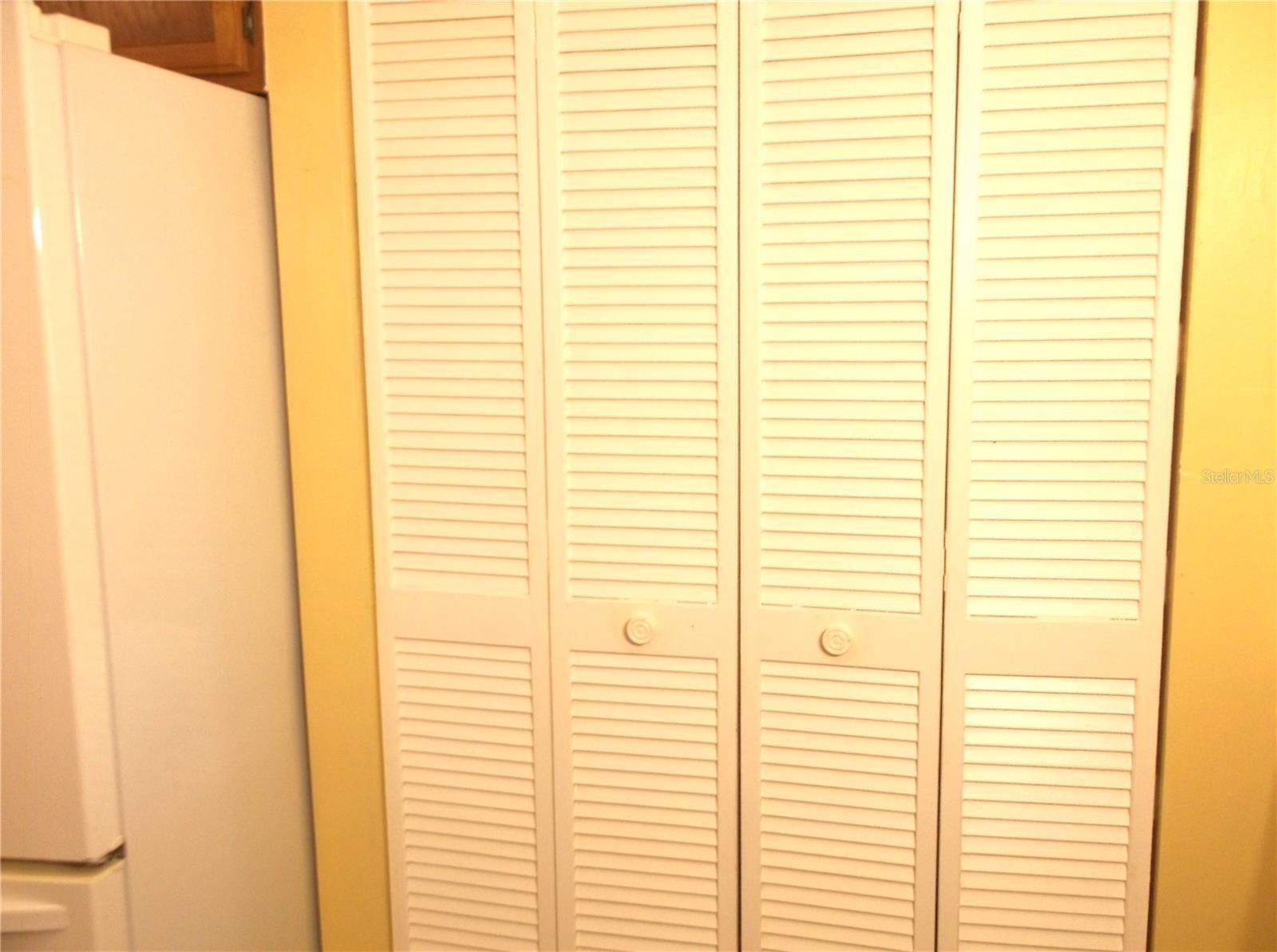 Floding doors to pantry