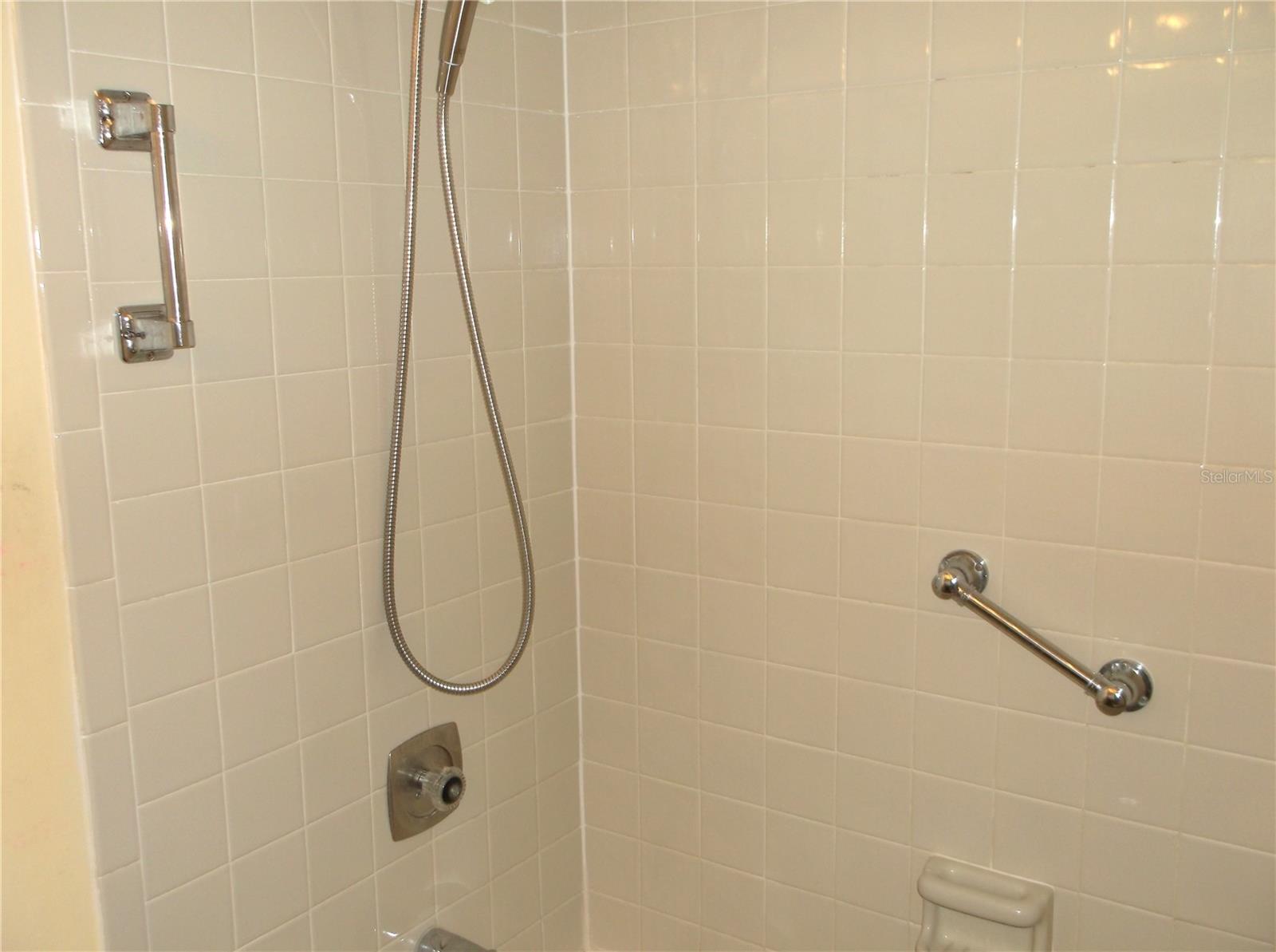 Shower area 2nd Bath