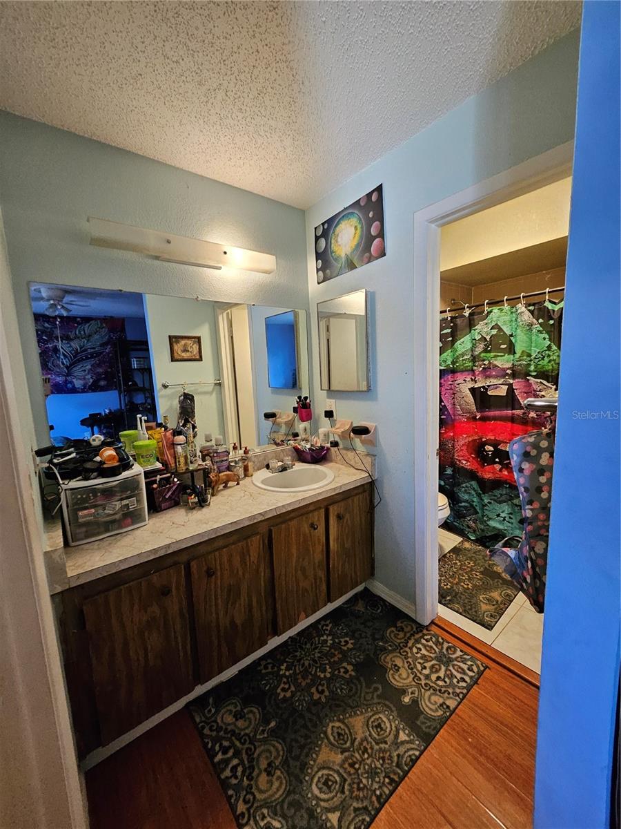 Primary Bathroom Vanity