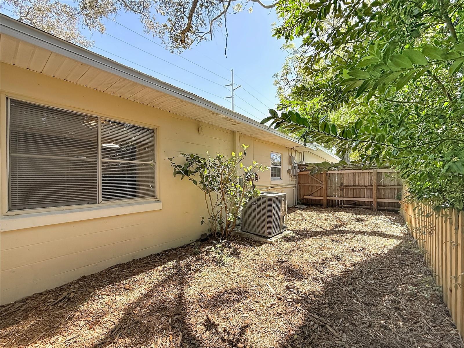 Main house side yard
