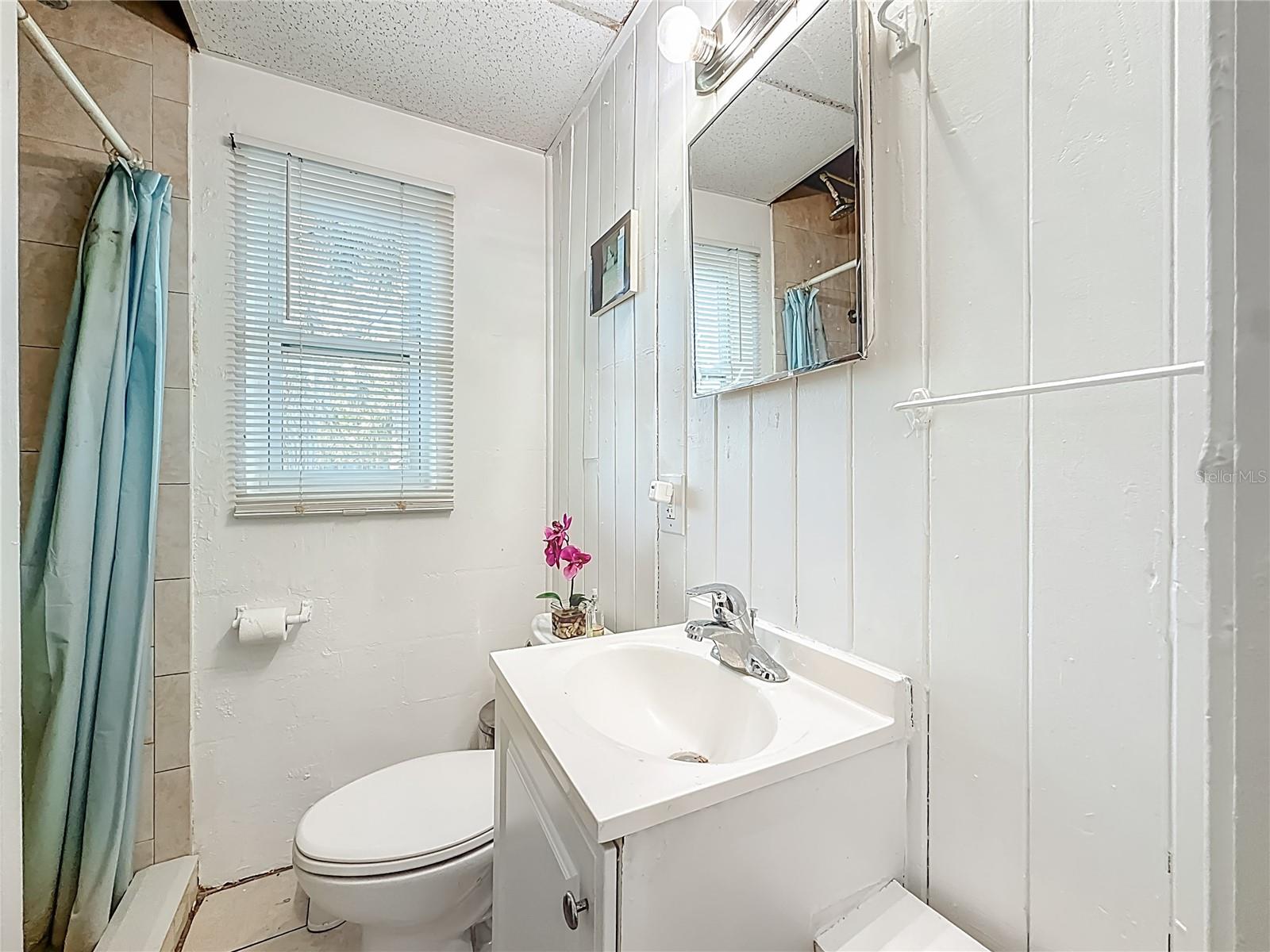 Guest House Bathroom