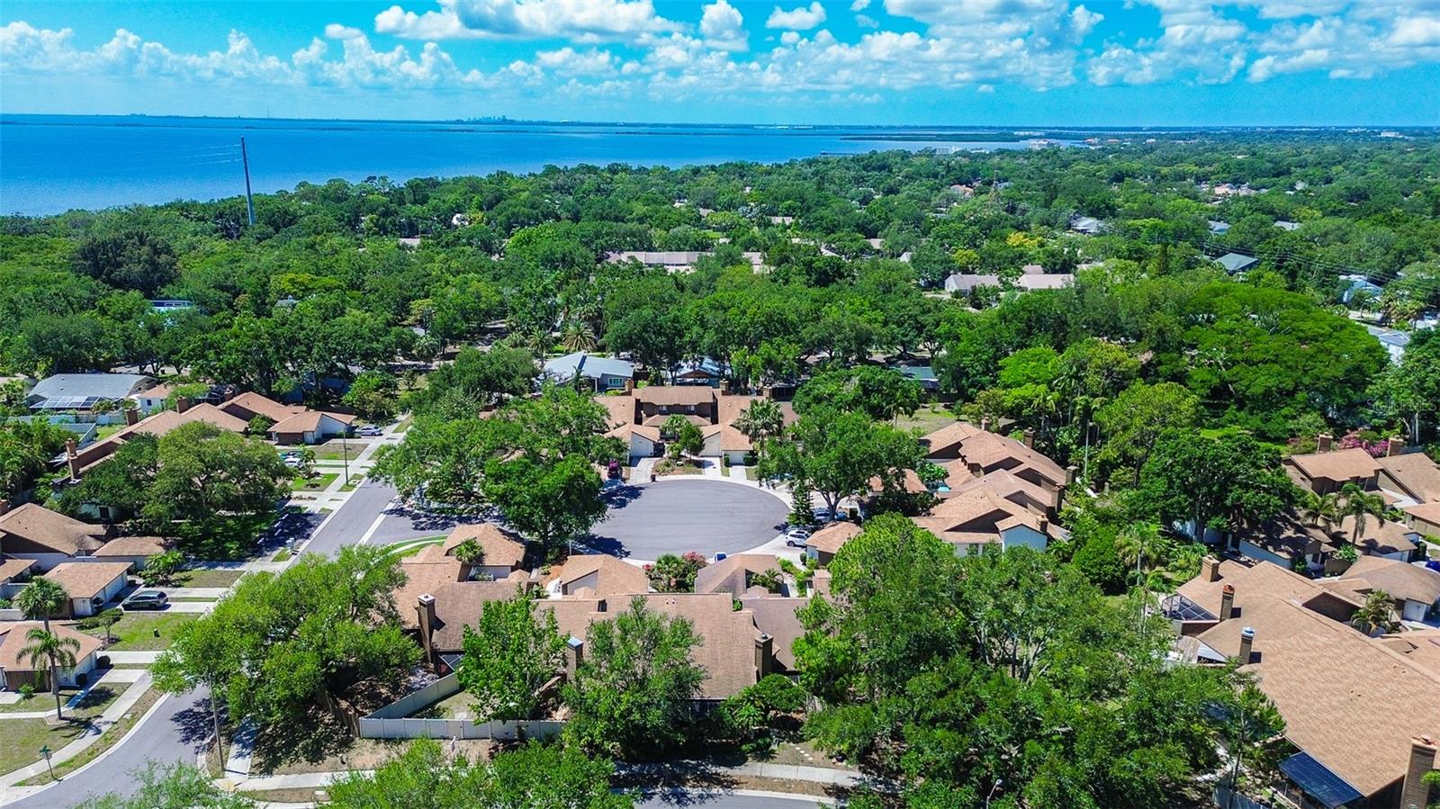 TB8489089