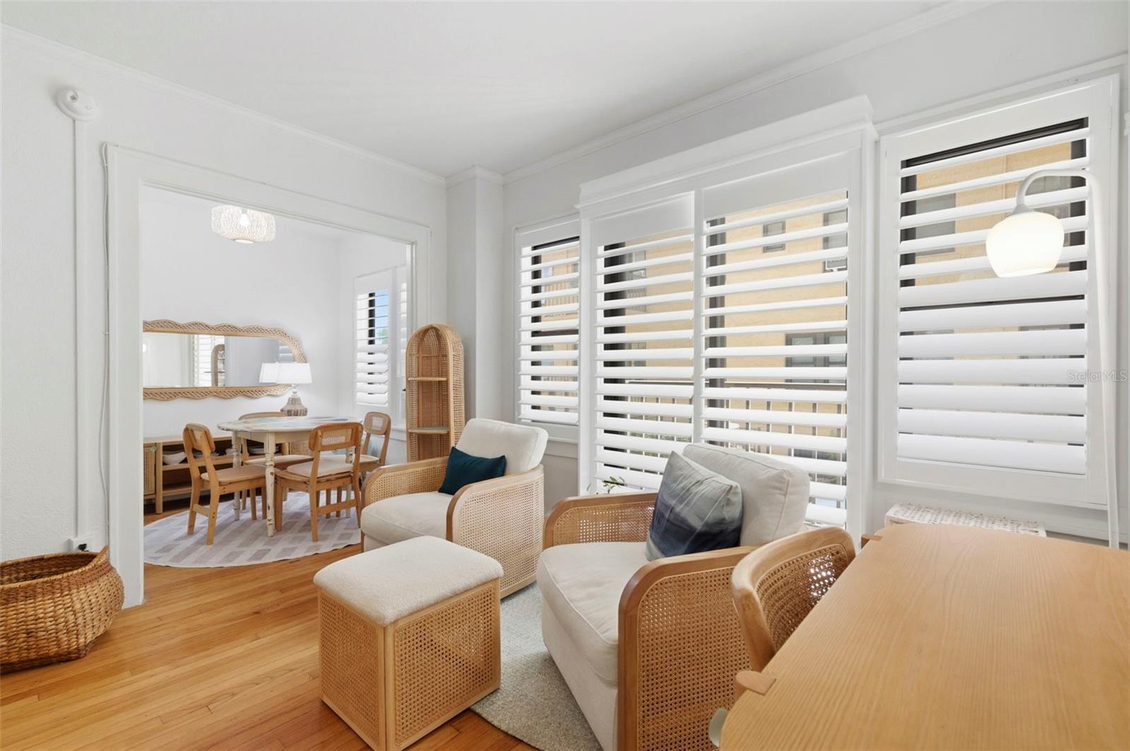 Living Room / Bedroom