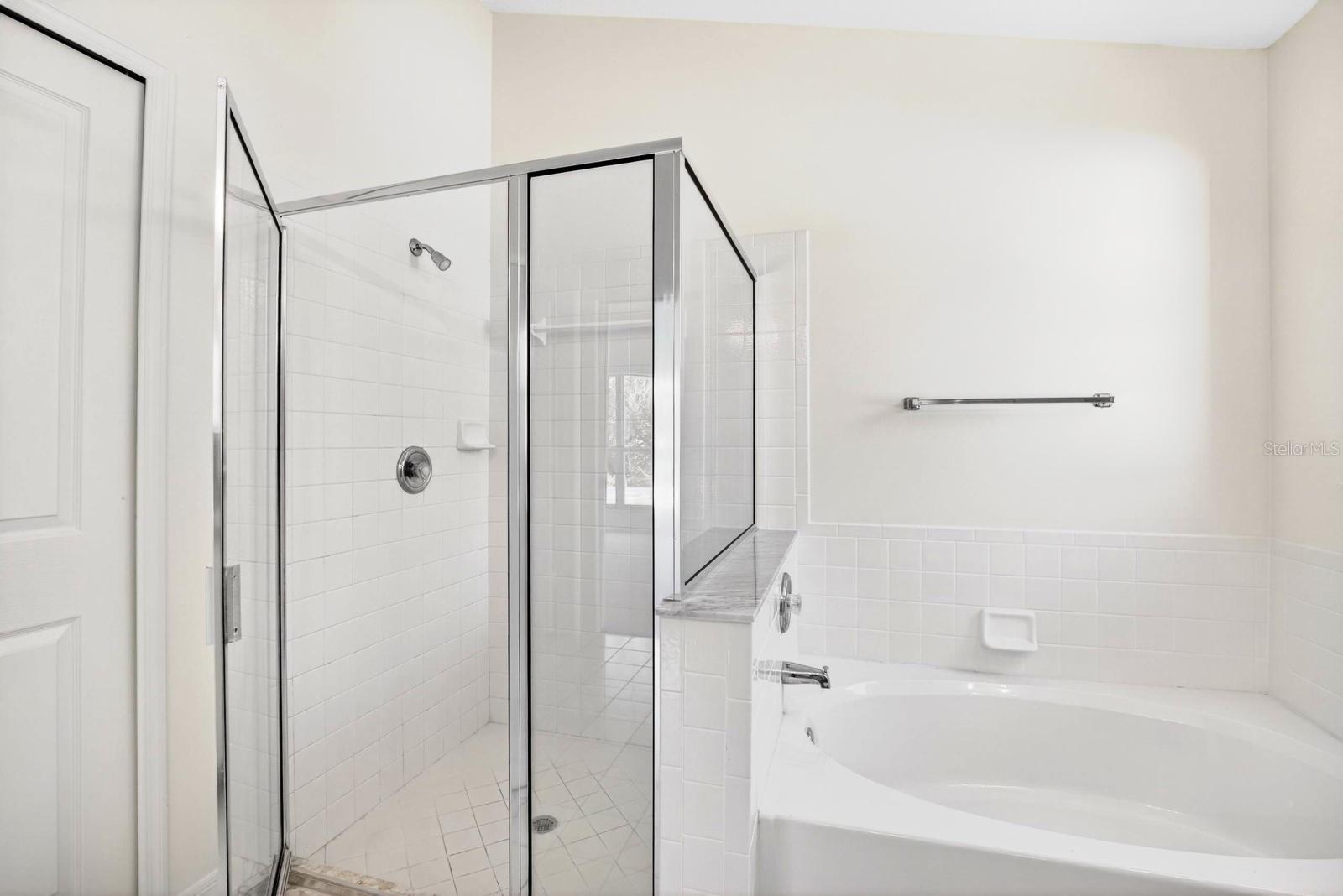 Garden Tub and Shower