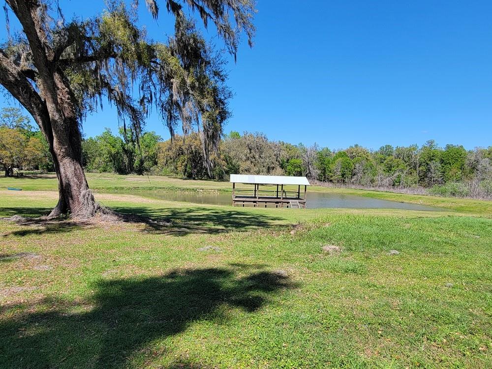 Fishing Dock on the pond.