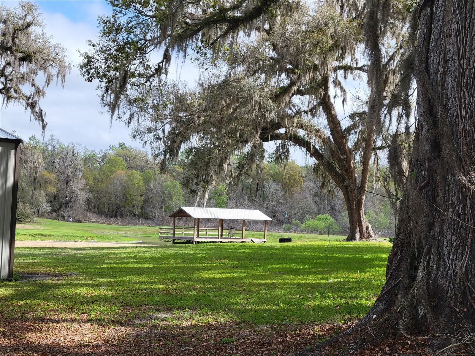 Fishing dock on pond