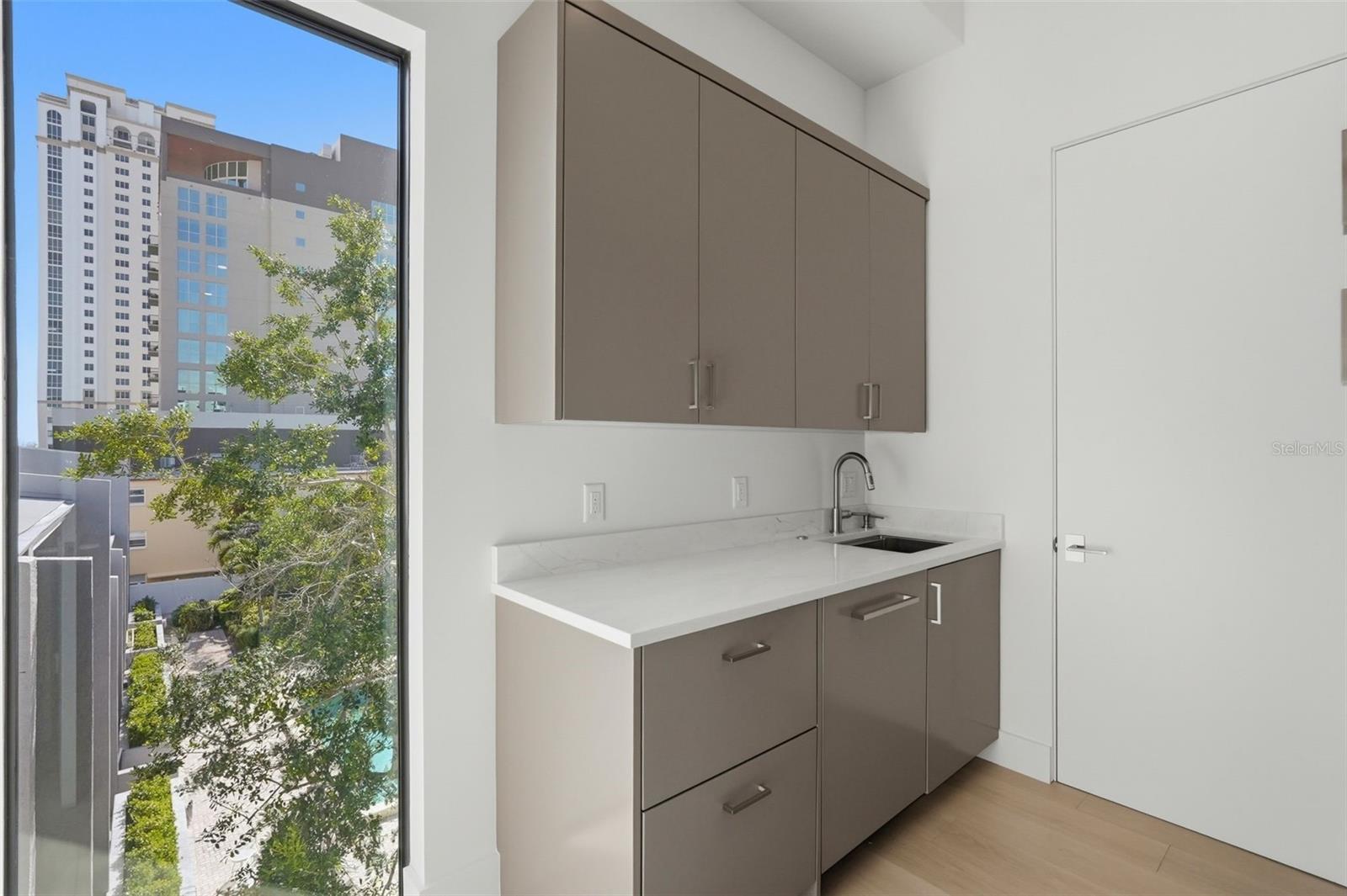 Butler's Pantry with dishwasher and sink