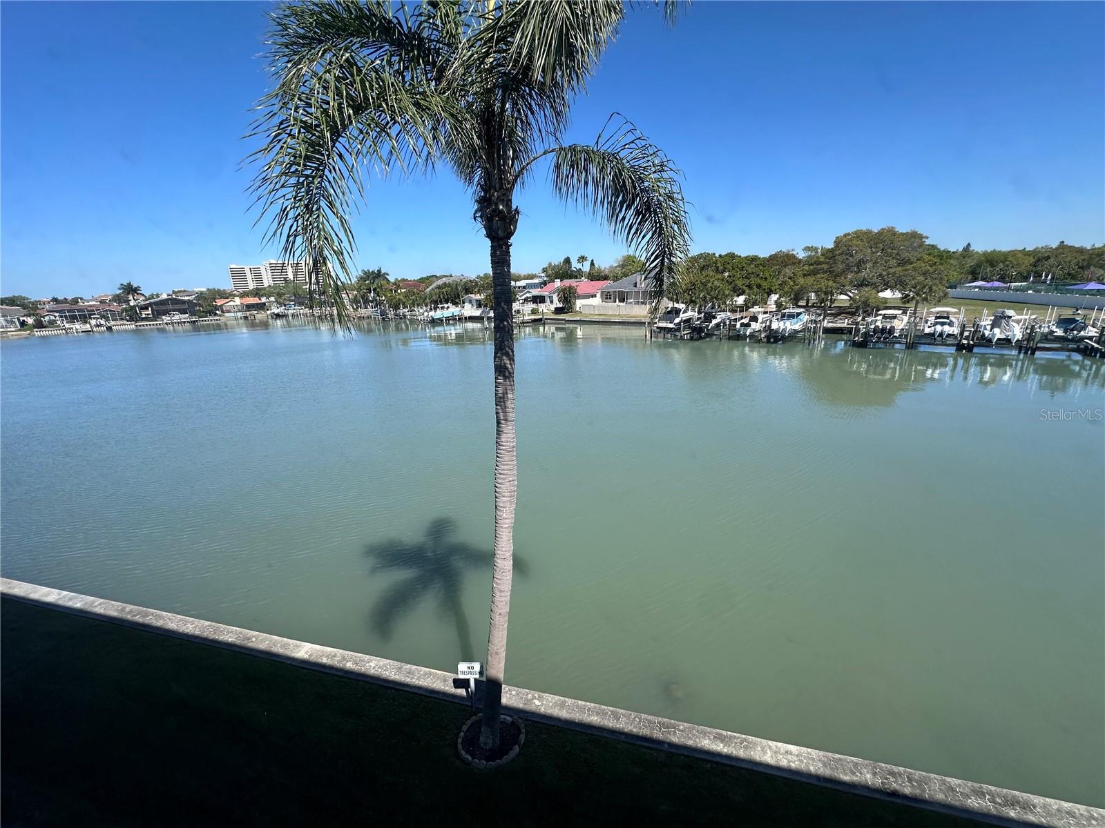 View from Florida room