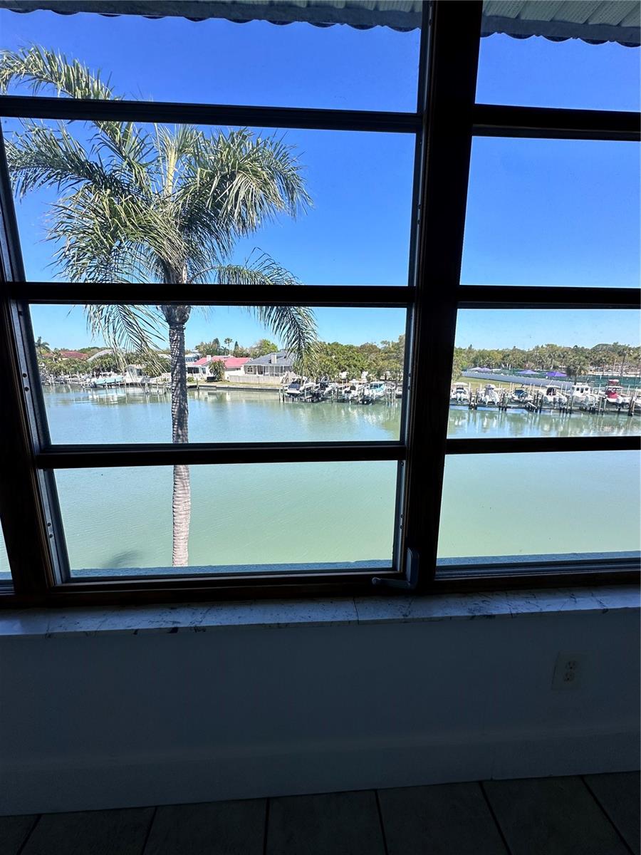 View from Florida room