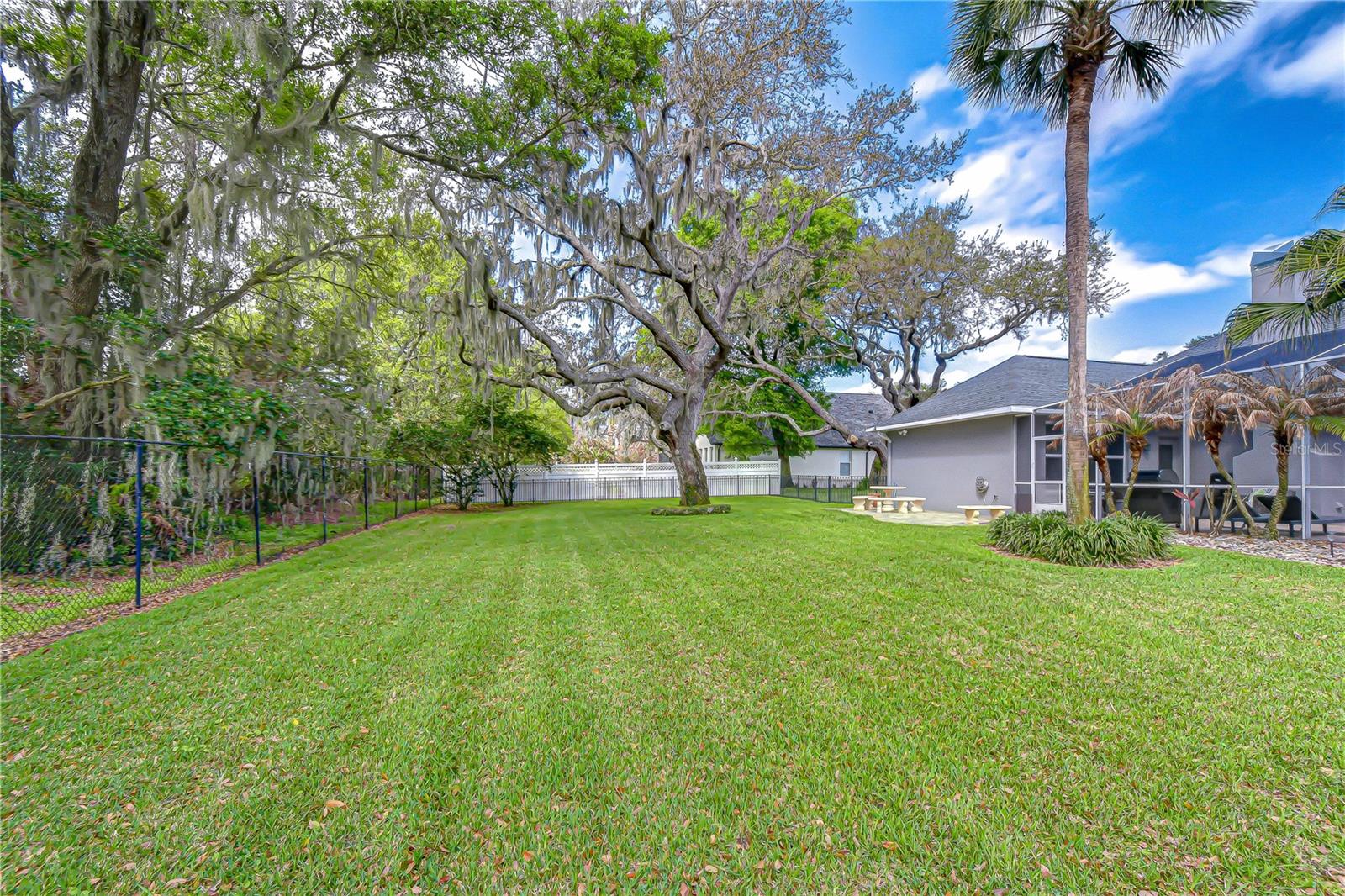 Mature oak trees and landscape lighting creating a serene setting.