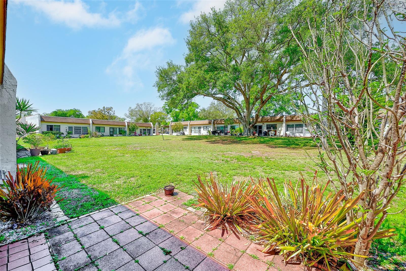 exterior back patio and view