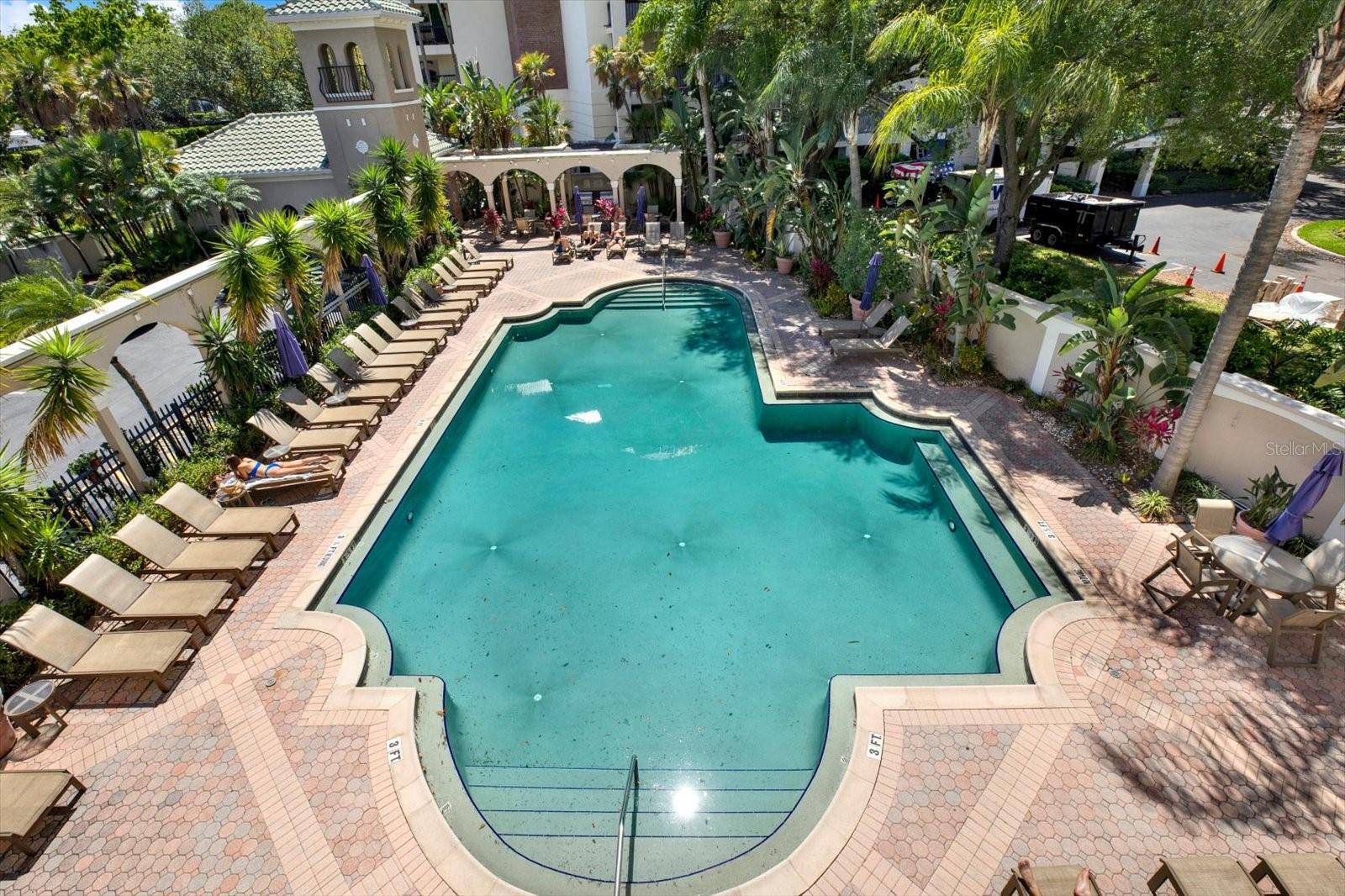 Pool lounge areas and BBQ area