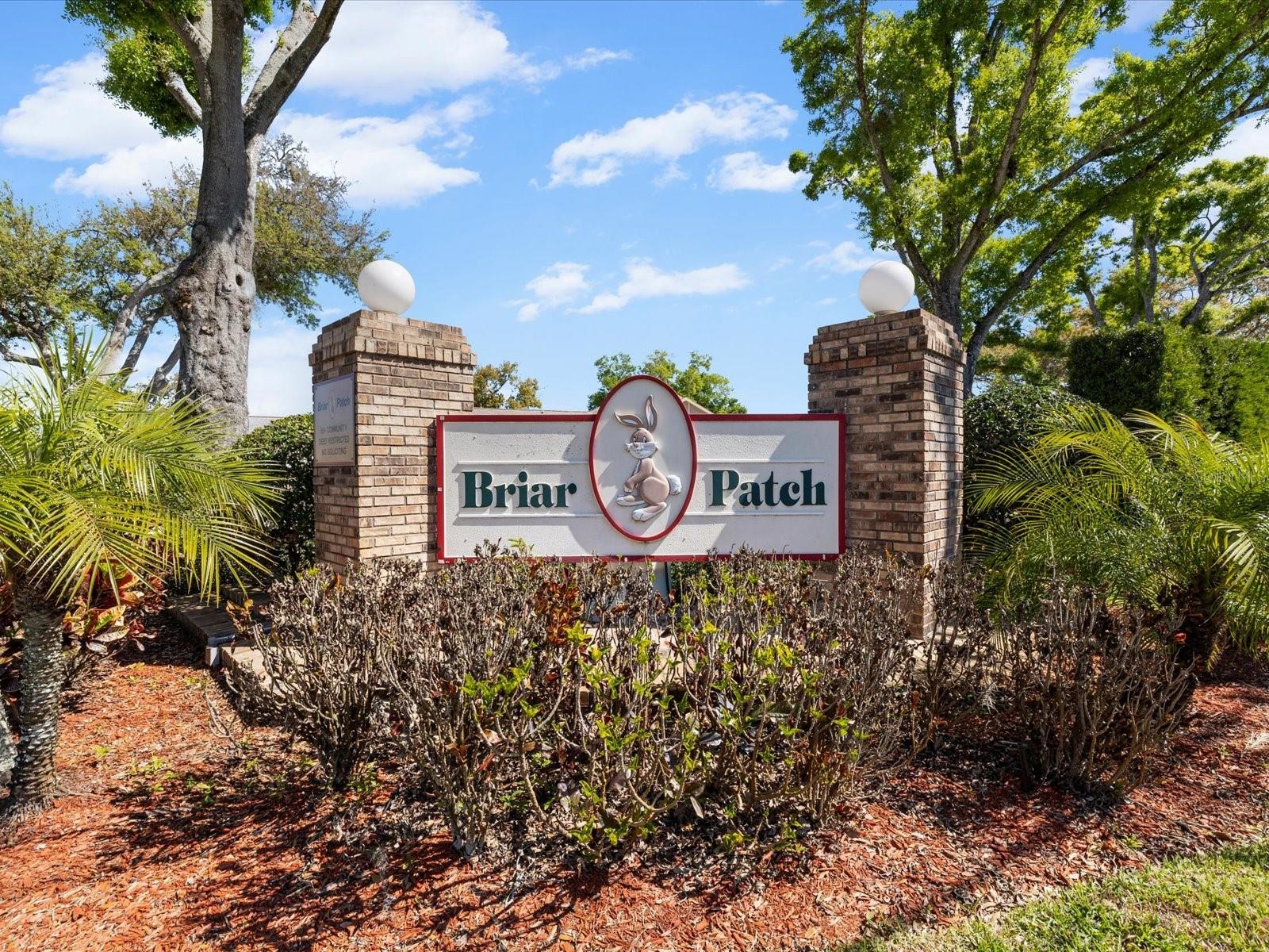 Briar Patch 55+ community