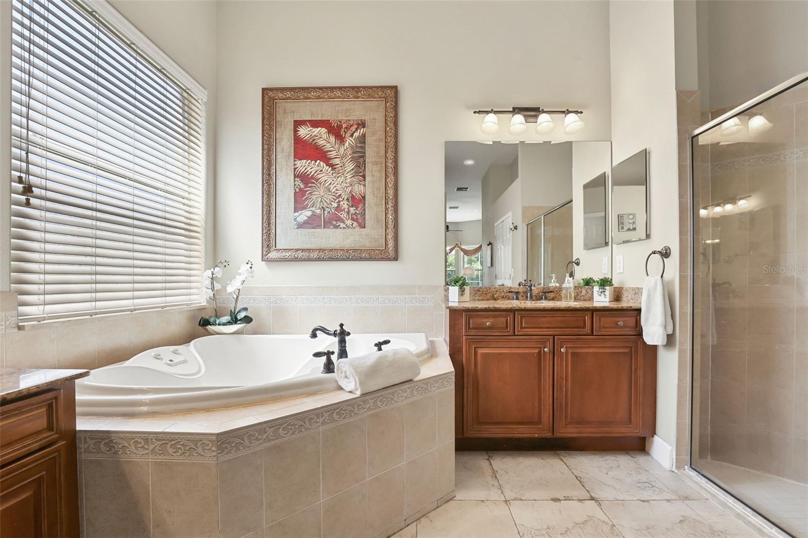 Primary En-Suite Soaking Tub/Expansive Glass Panel Shower