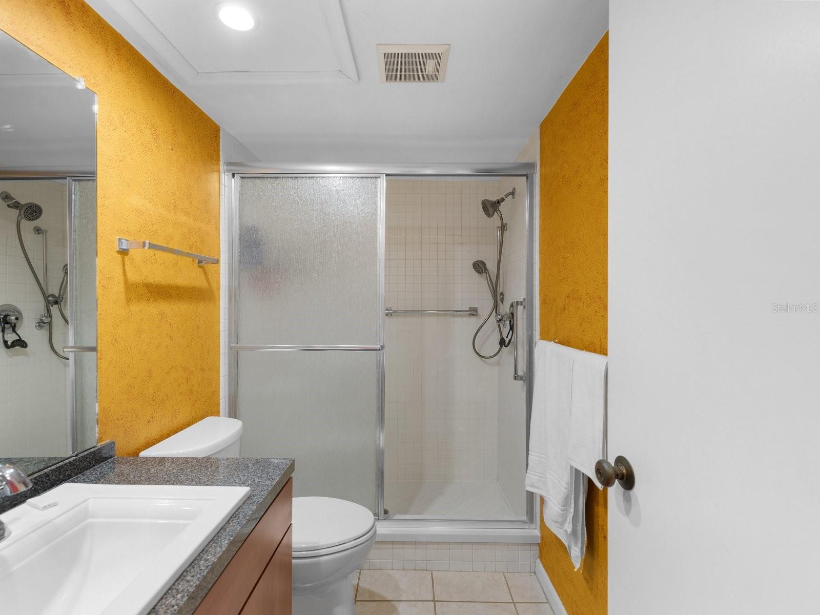 Guest hall bath with step in shower