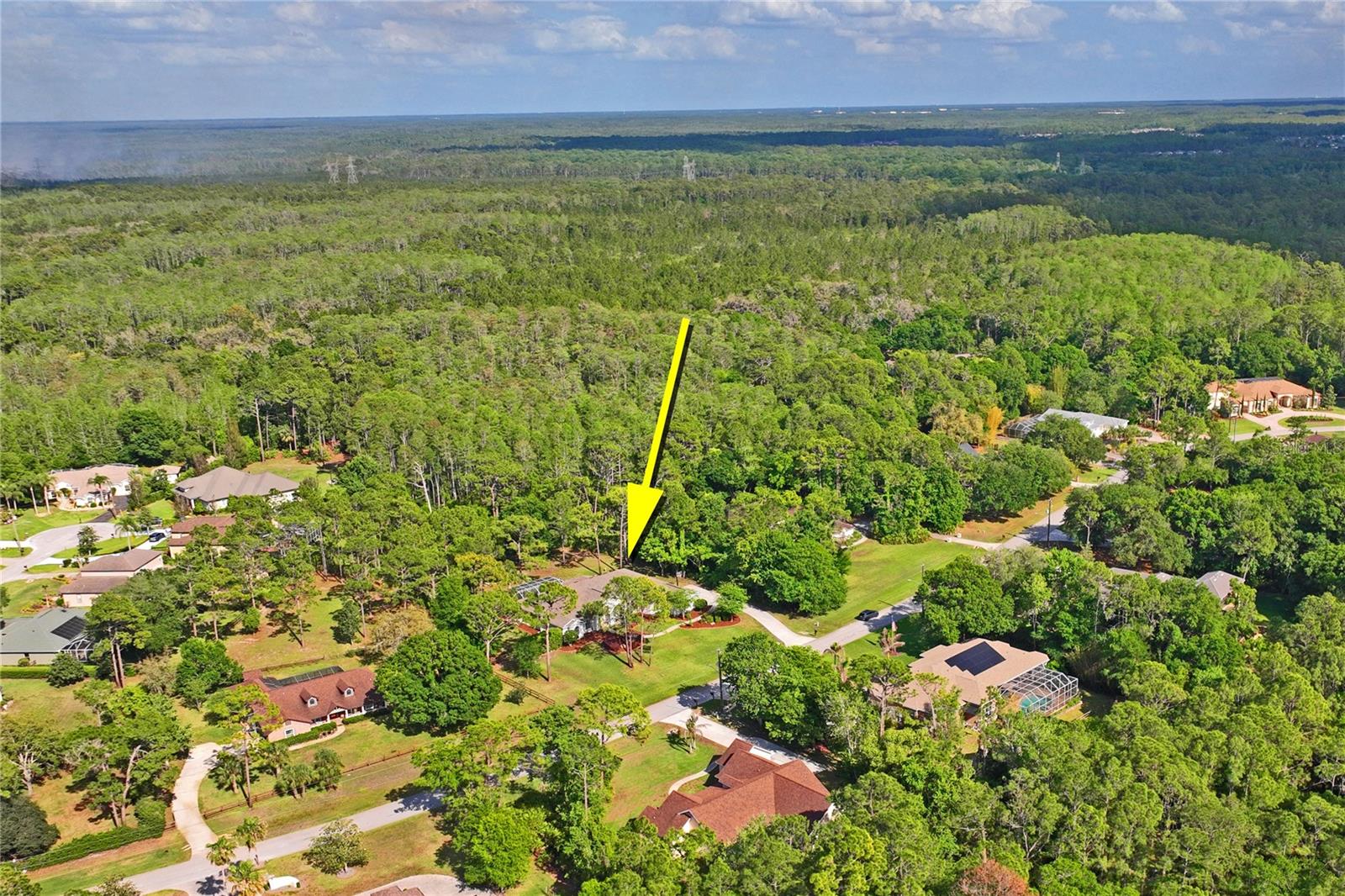 Surrounded by Nature