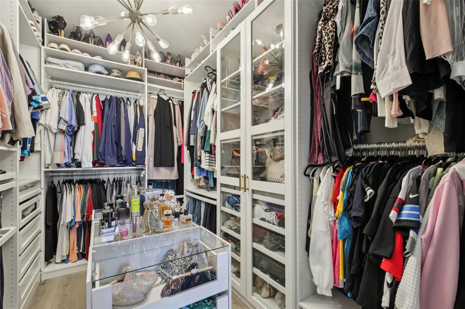 Primary Owner's closet