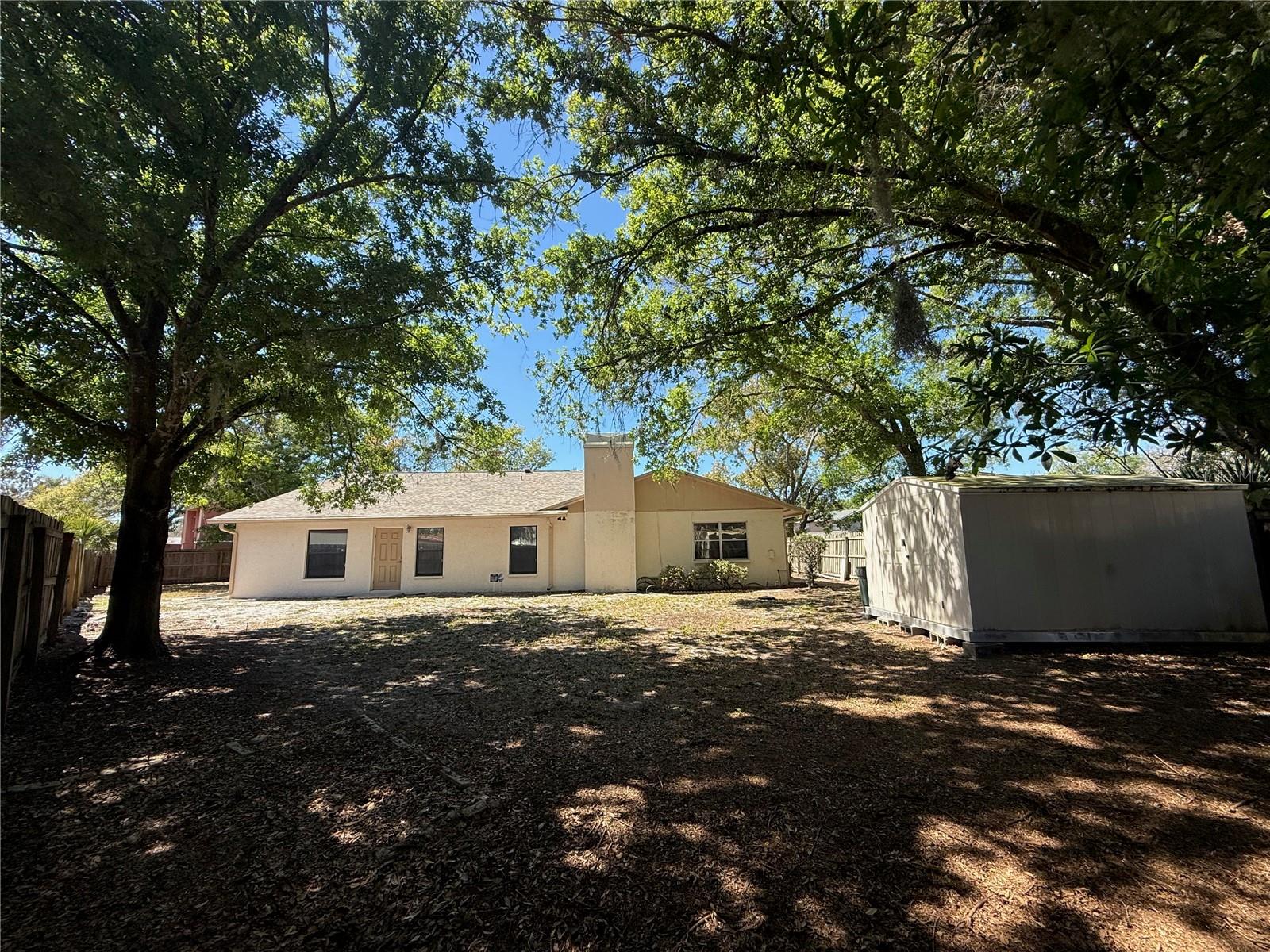 Large Backyard