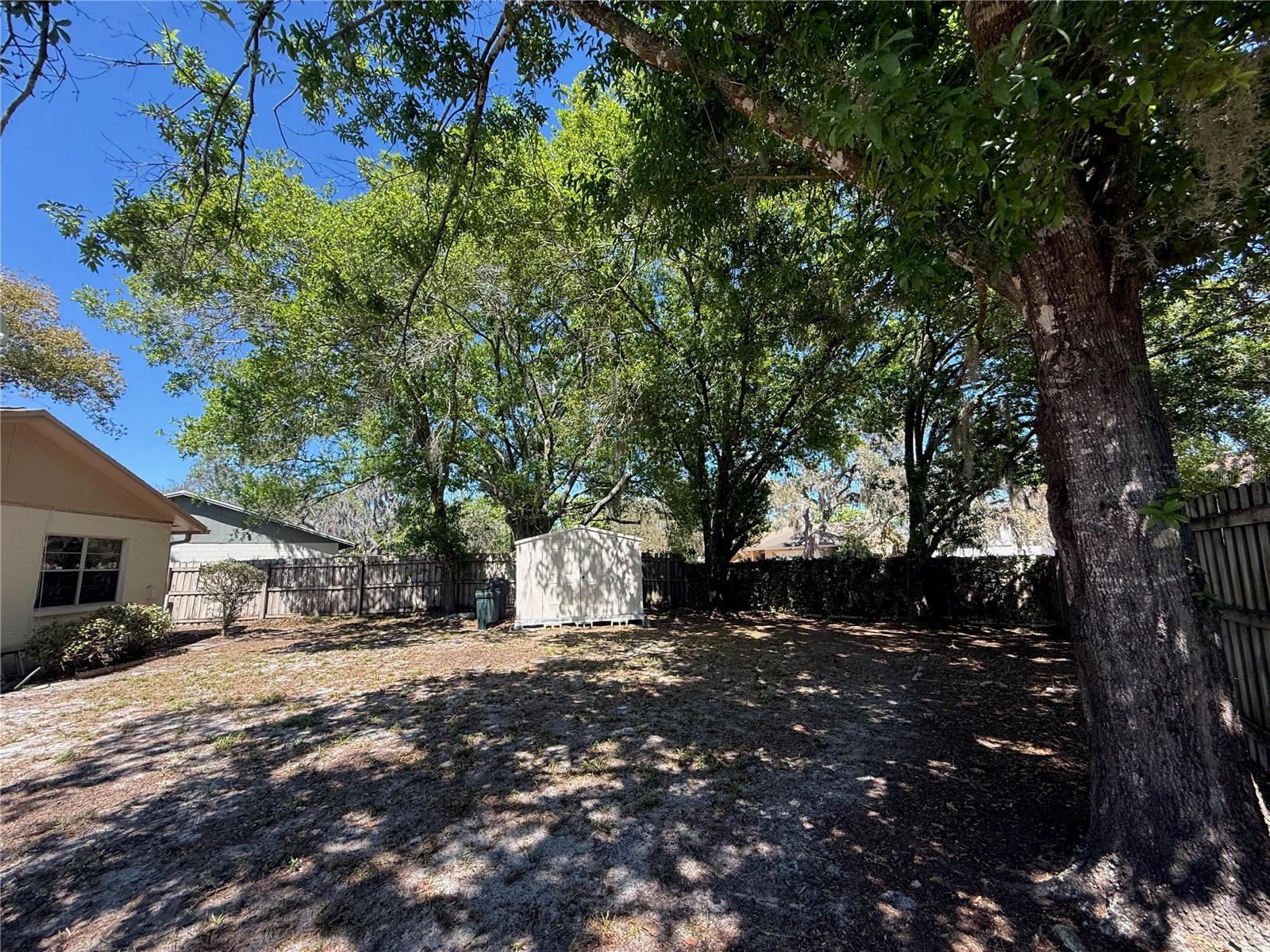 Backyard