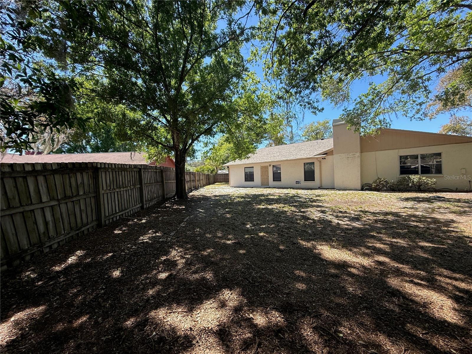 Backyard